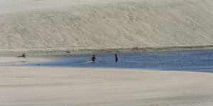 Dunas e lagoas do litoral norte em Natal