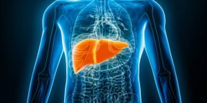 Dicas para não sobrecarregar o fígado durante as festas de fim de ano