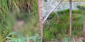 Cabeça humana encontrada em córrego no Maranhão levanta mistério