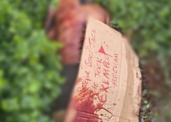 Reprodução/CM7 Brasil