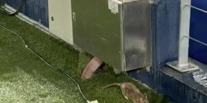 Reprodução/TNT Sports México