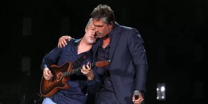 Michelle Felippelli/Divulgação