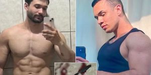 Redes sociais e Reprodução