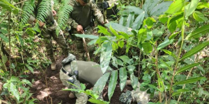 Divulgação/Polícia Militar