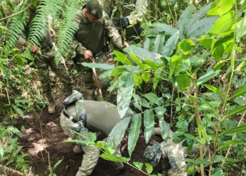 Divulgação/Polícia Militar
