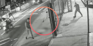 Cachorro comunitário é morto com dez tiros na zona leste de SP