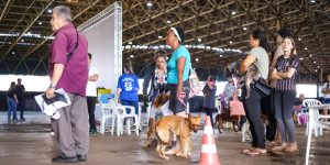 Foto: Governo do Paraná