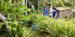 Portos do Paraná e UFPR