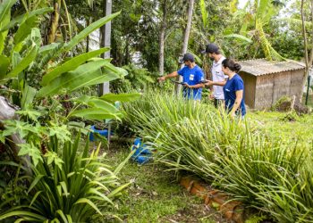 Portos do Paraná e UFPR