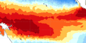 indicativo-el-nino-e1778847099403