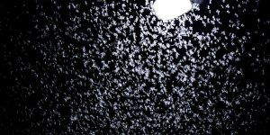 Mindaugas Dulinskas/Getty Images