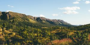 Ecoturismo cresce no Brasil e abre espaço para agências que apostam em profissionalização