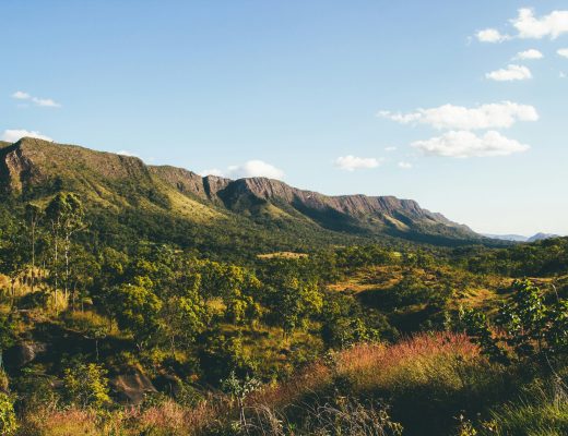 Ecoturismo cresce no Brasil e abre espaço para agências que apostam em profissionalização