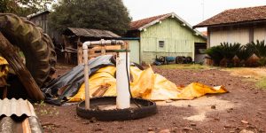 Foto: Governo do Paraná