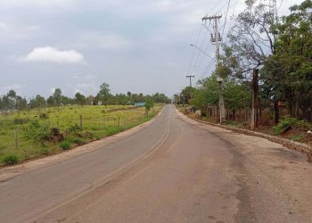 Foto: Governo do Paraná