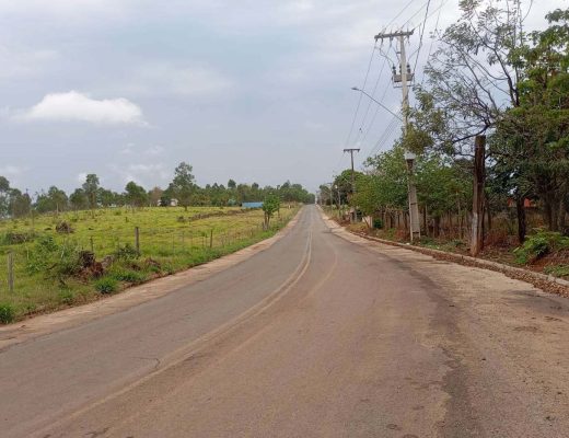 Foto: Governo do Paraná