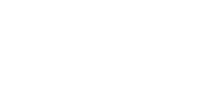 Bacci Notícias