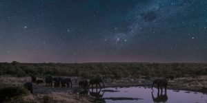 Total solar eclipse 2030 promete espetáculo na África do Sul e Austrália