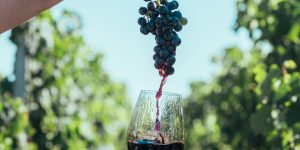 Maior edição da feira reuniu mais de 400 marcas de 20 países e ampliou debates sobre competitividade dos vinhos brasileiros diante da abertura de mercado
