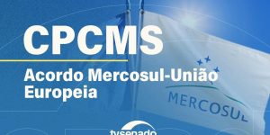 UE em audiência pública