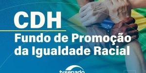 Debate no Senado sobre o Fundo para Promoção da Igualdade Racial