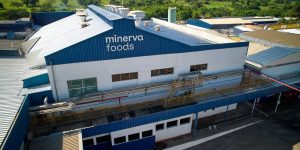 Minerva (BEEF3) sofre queda na B3, apesar de lucro e espaço para dividendos