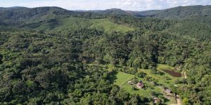 Foto: Governo do Paraná