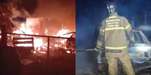 Reprodução/TV Fazenda