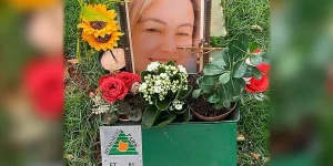 Reprodução/Arquivo pessoal