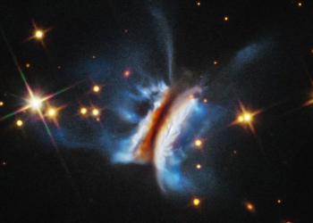 m do Hubble de Dracula's Chivito, o maior disco protoplanetário já visto