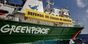 Reprodução/Portal City News