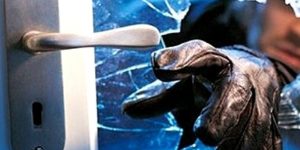 noticiasconcursos.com.br-direitos-brasil-00014-2