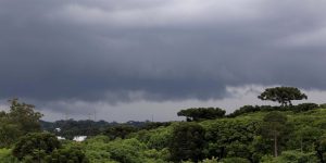 Foto: Governo do Paraná