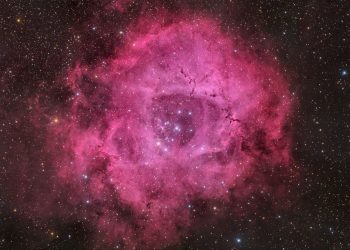 Nebulosa Roseta: Um presente do universo para os solteiros