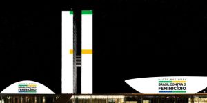 Congresso promove apoio ao Pacto Nacional Brasil contra o feminicídio