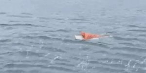 Pescador de 35 anos foi encontrado apoiado em uma geladeira em São Francisco do Sul, Litoral Norte de Santa Catarina