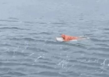 Pescador de 35 anos foi encontrado apoiado em uma geladeira em São Francisco do Sul, Litoral Norte de Santa Catarina