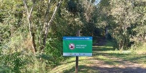 Foto: Governo do Paraná