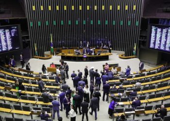 Cão Orelha: Câmara aprova urgência para internação por maus-tratos