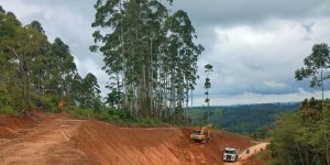 Foto: Foto: Governo do Paraná