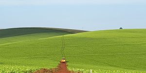 Foto: Governo do Paraná