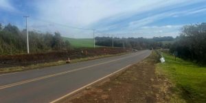 PRC-466 entre Turvo e Palmeirinha,