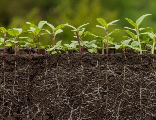 Oleh Malshakov/Getty Images