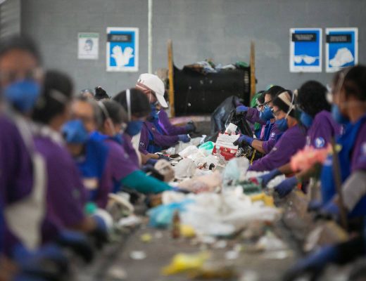 Rafaela Felicciano/Metrópoles