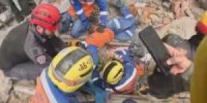 resgate-cachorro-colombia.jpeg-e1786884221496