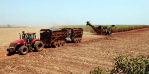 Preços do açúcar podem subir com maior produção de etanol pela São Martinho