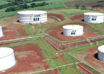 São Martinho smto3 (1)