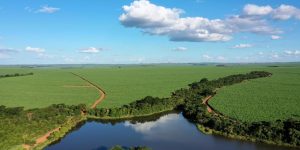 Análise dos resultados da São Martinho (SMTO3) no 3T26