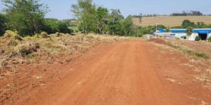 Foto: Governo do Paraná