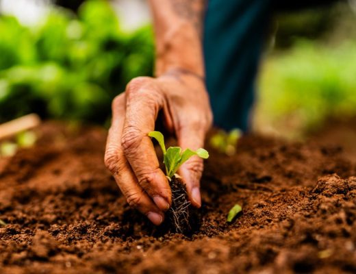 Crédito rural 2025: novas normas e prazos para financiamentos